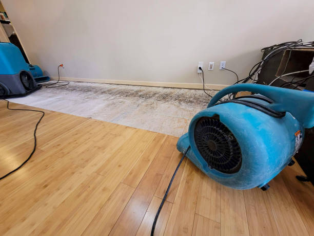 Professional Flood Damage Cleanup technician working in Alden, MN